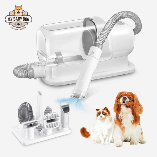 Aspirateur de toilettage