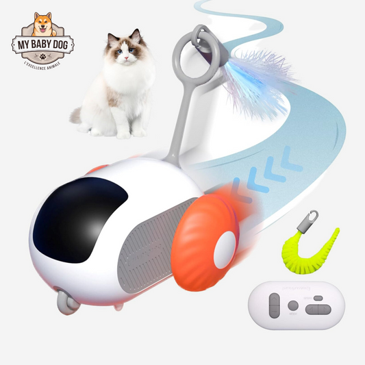 Jouet interactif pour chat turbo tail